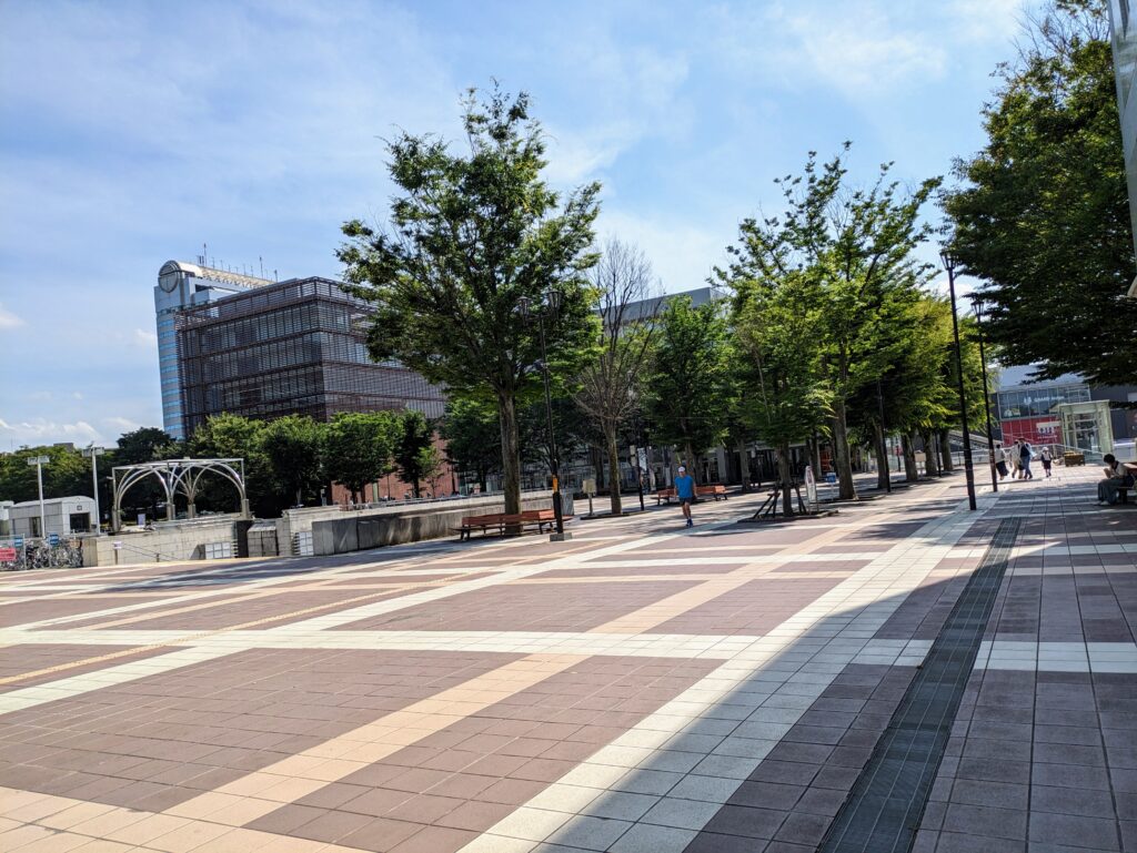 つくば駅,ペデストリアンデッキ