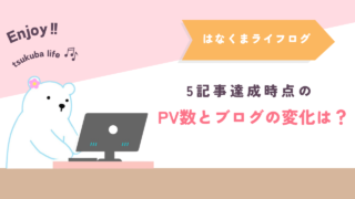 【地域特化ブログ】5記事書いた時のPV数や変化は？