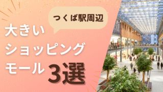 【地元民おすすめ】つくば駅周辺の大型ショッピングモール3選|映画・フード・日用品も充実!