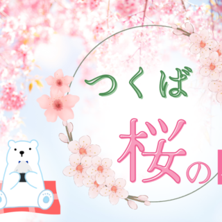 桜の名所】つくば周辺のおすすめお花見スポットを紹介！