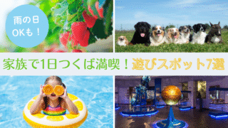 【子どもと1日満喫】つくばの遊びスポット7選|屋内・動物・プールも!
